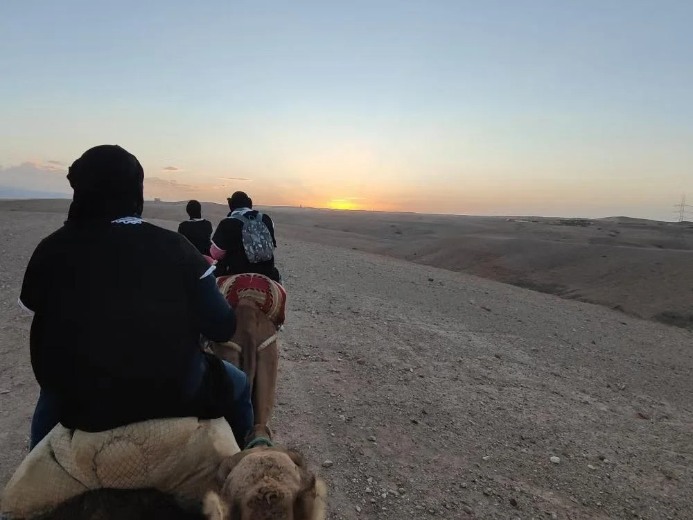 Désert d'Agafay — Coucher de soleil à dos de chameau et dîner berbère