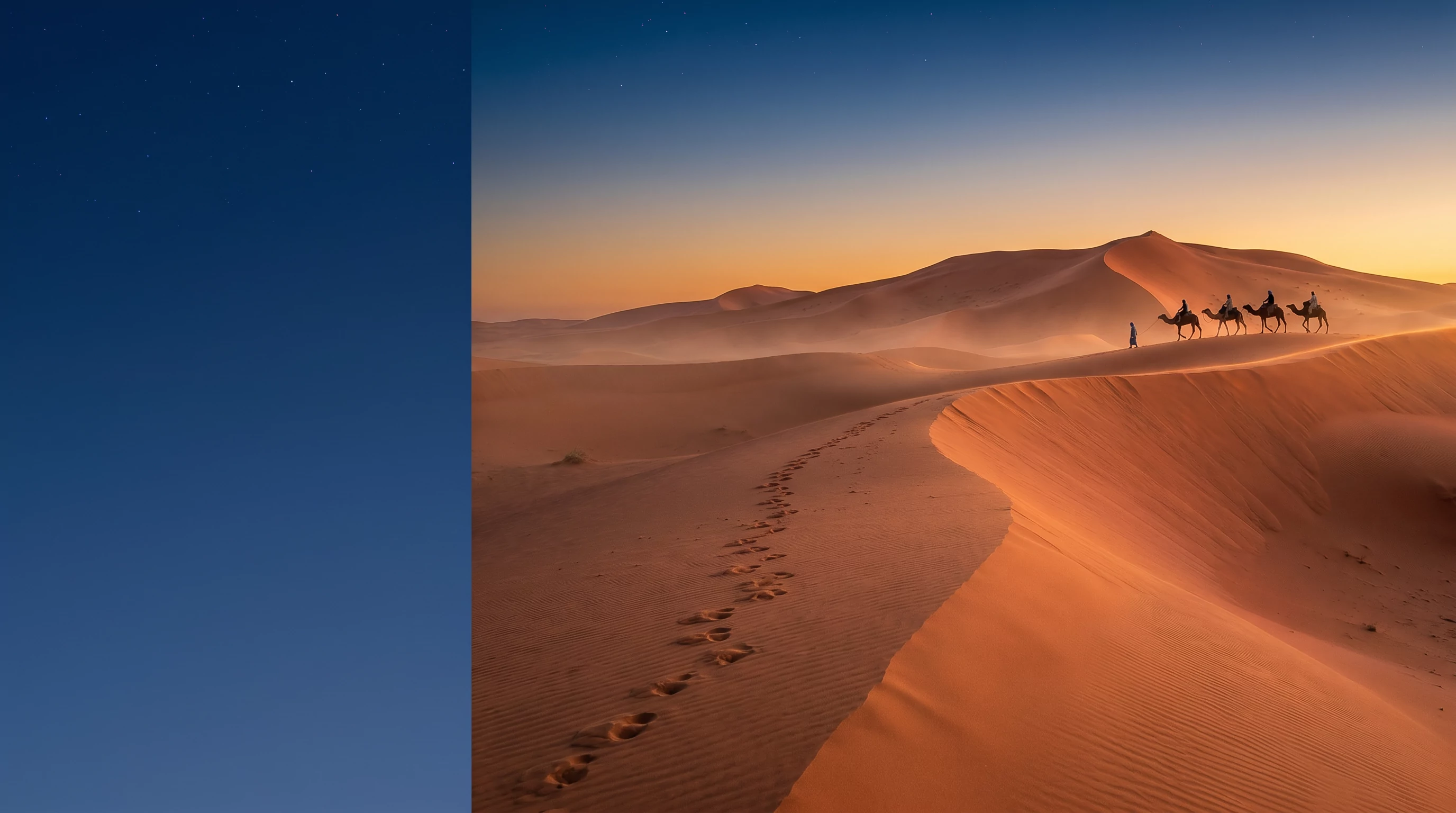 L'art du désert : 3 jours d'expédition au Sahara marocain